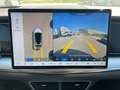 BYD Sealion 7 Excellence AWD MY2025 Weiß - thumbnail 14