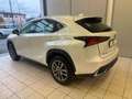 Lexus NX 300 300h 2.5 Business 2wd cvt Weiß - thumbnail 4