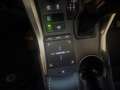 Lexus NX 300 300h 2.5 Business 2wd cvt Weiß - thumbnail 12