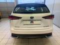 Lexus NX 300 300h 2.5 Business 2wd cvt Weiß - thumbnail 5