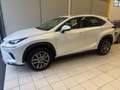 Lexus NX 300 300h 2.5 Business 2wd cvt Weiß - thumbnail 3