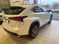 Lexus NX 300 300h 2.5 Business 2wd cvt Weiß - thumbnail 6