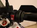 BMW F 900 GS Abs my24 Blu/Azzurro - thumbnail 13