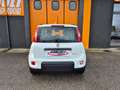 Fiat Panda 1.0 FireFly S&S Hybrid Blanc - thumbnail 7