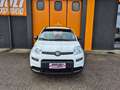 Fiat Panda 1.0 FireFly S&S Hybrid Blanc - thumbnail 2