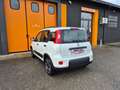 Fiat Panda 1.0 FireFly S&S Hybrid Blanc - thumbnail 9