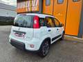 Fiat Panda 1.0 FireFly S&S Hybrid Blanc - thumbnail 12