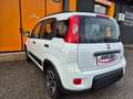 Fiat Panda 1.0 FireFly S&S Hybrid Blanc - thumbnail 11