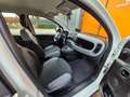 Fiat Panda 1.0 FireFly S&S Hybrid Blanc - thumbnail 14