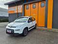 Fiat Panda 1.0 FireFly S&S Hybrid Blanc - thumbnail 3