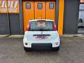 Fiat Panda 1.0 FireFly S&S Hybrid Blanc - thumbnail 10