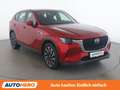 Mazda CX-60 2.5 e-Skyactiv Plug-in Hybrid Exclusive-Line AWD Rot - thumbnail 8