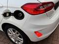 Ford Fiesta Trend 1,5 TDCI 6-Gang, Klima,SR+WR Weiß - thumbnail 12