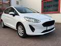 Ford Fiesta Trend 1,5 TDCI 6-Gang, Klima,SR+WR Weiß - thumbnail 5