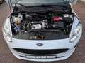 Ford Fiesta Trend 1,5 TDCI 6-Gang, Klima,SR+WR Weiß - thumbnail 4