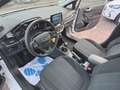 Ford Fiesta Trend 1,5 TDCI 6-Gang, Klima,SR+WR Weiß - thumbnail 3