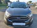 Ford EcoSport 1.0 ecoboost Titanium s&s Gris - thumbnail 1