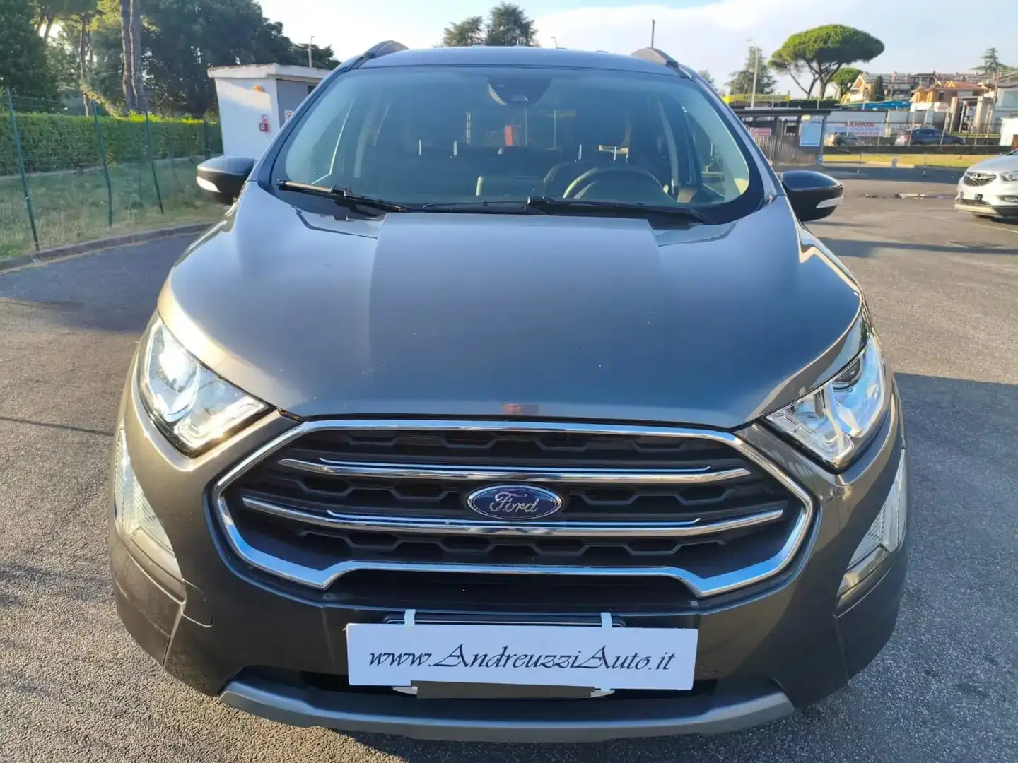 Ford EcoSport 1.0 ecoboost Titanium s&s Gris - 1