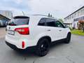 Kia Sorento Platinum Edition 4WD VOLL Top Wit - thumbnail 14
