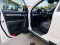 Kia Sorento Platinum Edition 4WD VOLL Top Wit - thumbnail 10