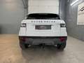 Land Rover Range Rover Evoque Prestige 2,2 SD4*Anhänger*Navi*Kamera*keyless*S... Weiß - thumbnail 9