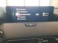 Mazda CX-60 3.3L e-Skyactiv D 249CV MHEV AWD Homura Bianco - thumbnail 15