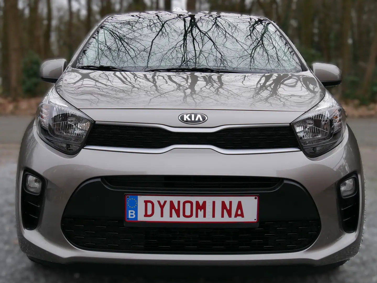 Kia Picanto 1.0i 5deurs bj 2019 34000km 12m garantie gold Gris - 1