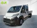 Toyota Proace Max Doka Pritsche ABS Fahrerairbag ESP ZV Білий - thumbnail 1