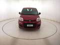 Fiat Panda 1.0 HYB 70CV Rot - thumbnail 2
