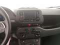 Fiat Panda 1.0 HYB 70CV Rot - thumbnail 14