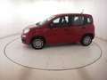 Fiat Panda 1.0 HYB 70CV Rot - thumbnail 8
