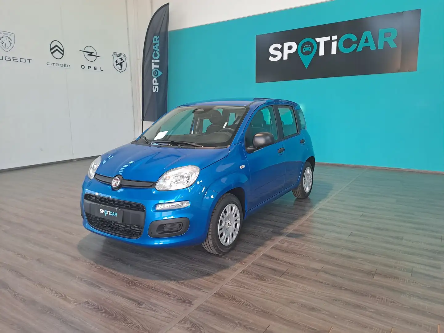 Fiat Panda 1.0 FireFly S&S Hybrid Blu/Azzurro - 1