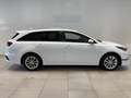 Kia Ceed SW / cee'd SW CAMERA - CARPLAY Weiß - thumbnail 6