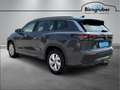 Volkswagen Tayron Life eHybrid DSG 150kW Grau - thumbnail 2