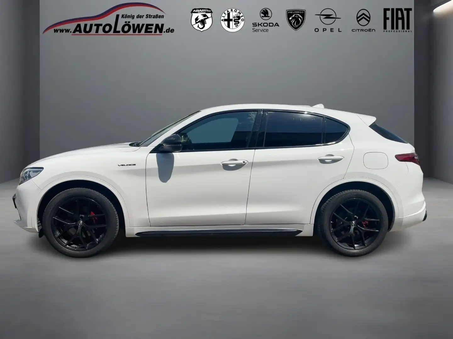 Alfa Romeo Stelvio 2.0 Turbo 16V Veloce Q4 (EURO 6d) Blanco - 2