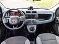 Fiat Panda 0.9 TwinAir Turbo S&S 4x4 OK NEOPATENTATI Blanc - thumbnail 13