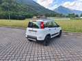 Fiat Panda 0.9 TwinAir Turbo S&S 4x4 OK NEOPATENTATI Blanc - thumbnail 8