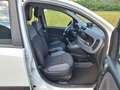 Fiat Panda 0.9 TwinAir Turbo S&S 4x4 OK NEOPATENTATI Bianco - thumbnail 15