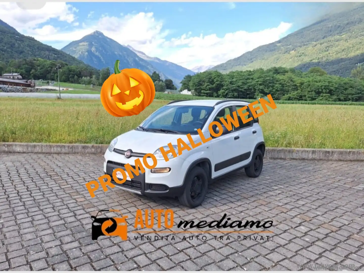 Fiat Panda 0.9 TwinAir Turbo S&S 4x4 OK NEOPATENTATI Bianco - 1