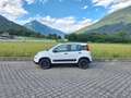 Fiat Panda 0.9 TwinAir Turbo S&S 4x4 OK NEOPATENTATI Blanc - thumbnail 5