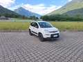 Fiat Panda 0.9 TwinAir Turbo S&S 4x4 OK NEOPATENTATI Blanc - thumbnail 3