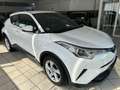 Toyota C-HR 1.2 Basis Automatik Turbo Style Camera Wit - thumbnail 12