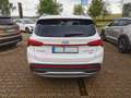 Hyundai SANTA FE 1.6 Plugin-Hybrid 4WD Prime / Panoramadach / M+S Weiß - thumbnail 6