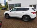 Hyundai SANTA FE 1.6 Plugin-Hybrid 4WD Prime / Panoramadach / M+S Weiß - thumbnail 8