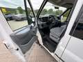 Ford Transit Pritsche FT 300 M Doppelkabine Trend Wit - thumbnail 8