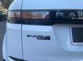 Land Rover Range Rover Evoque Range Evoque II 2.0dmhev R-Dynamic awd 240cv auto Bianco - thumbnail 19