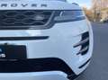 Land Rover Range Rover Evoque Range Evoque II 2.0dmhev R-Dynamic awd 240cv auto Bianco - thumbnail 23