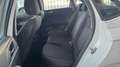 Volkswagen Polo 5p 1.0 tgi Highline 90cv my19  marce 6 Bianco - thumbnail 11
