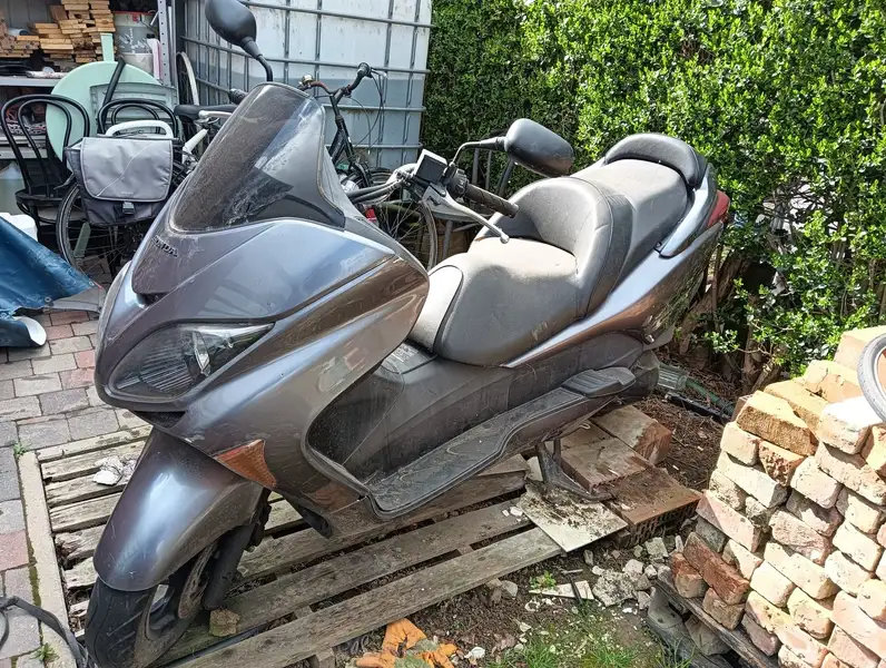 Honda Forza 250 - foto 2