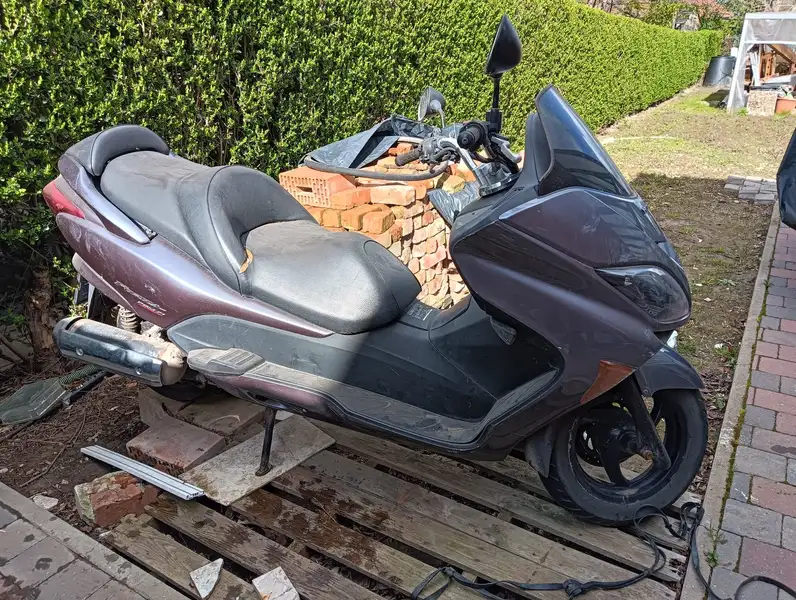 Honda Forza 250 - foto 3